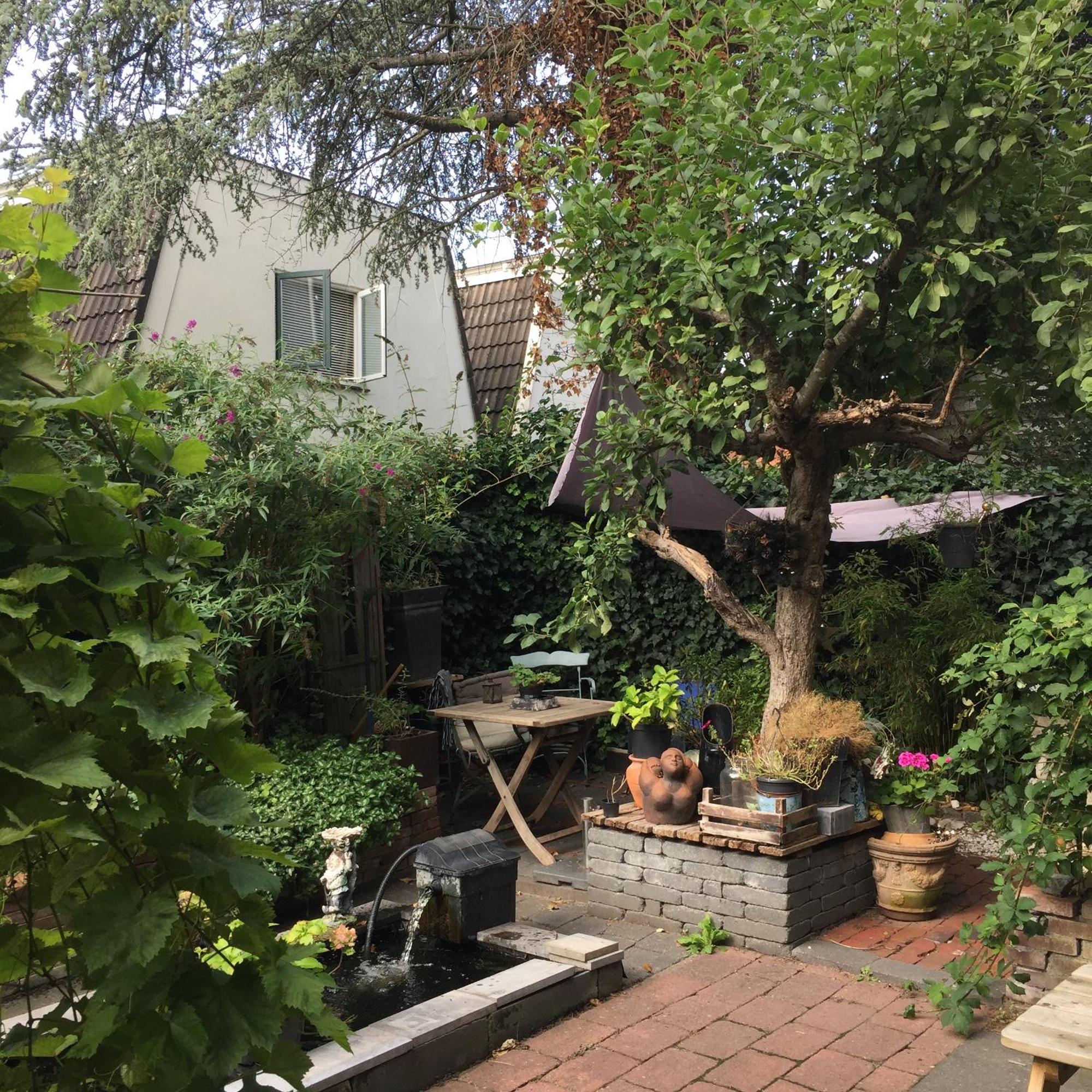 Bed and Breakfast Cessinas Groninga Esterno foto